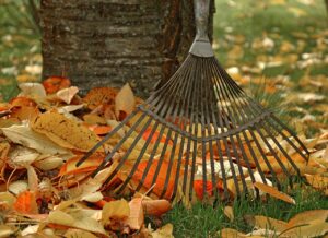 Rake + Leaves