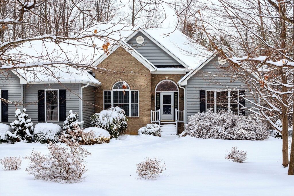 Yard in the Winter