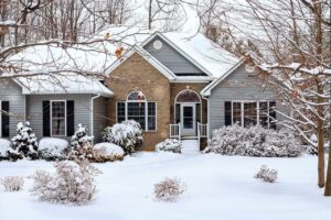 Yard in the Winter